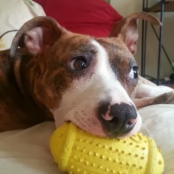 Meet your Posher, Jamie - Picture 1 of 1